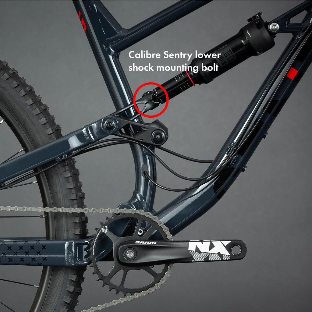 Sentry Lower Shock Mounting Bolt