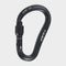 Atom Lock Carabiner