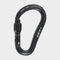 Atom Lock Carabiner