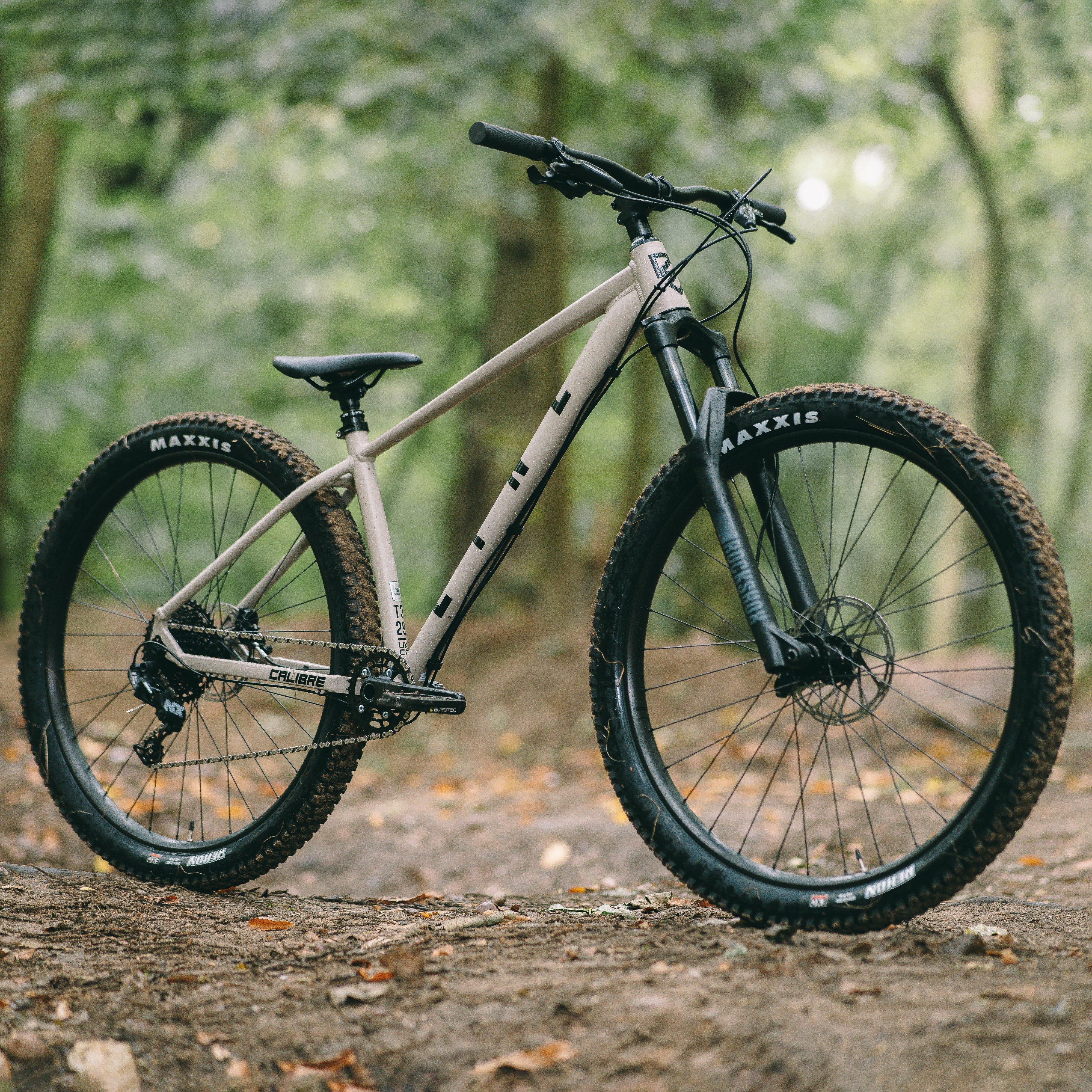 Line T3 29" Hardtail Mountain Bike