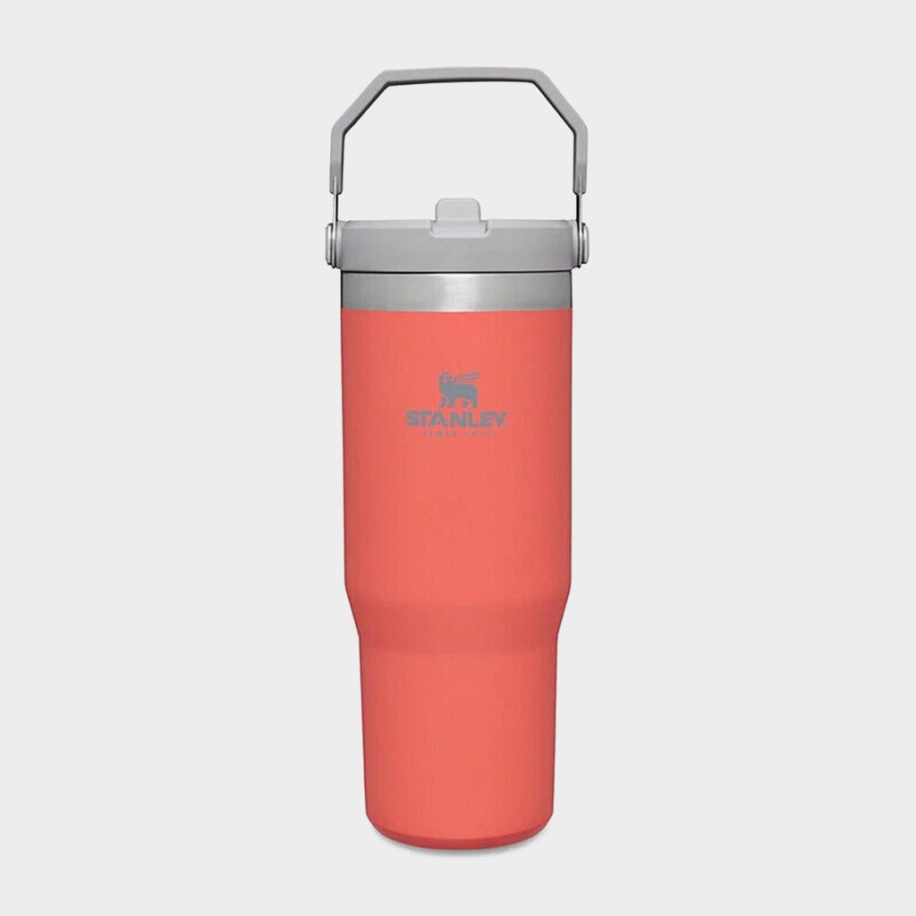 IceFlow™ Flip Straw Tumbler 0.89L