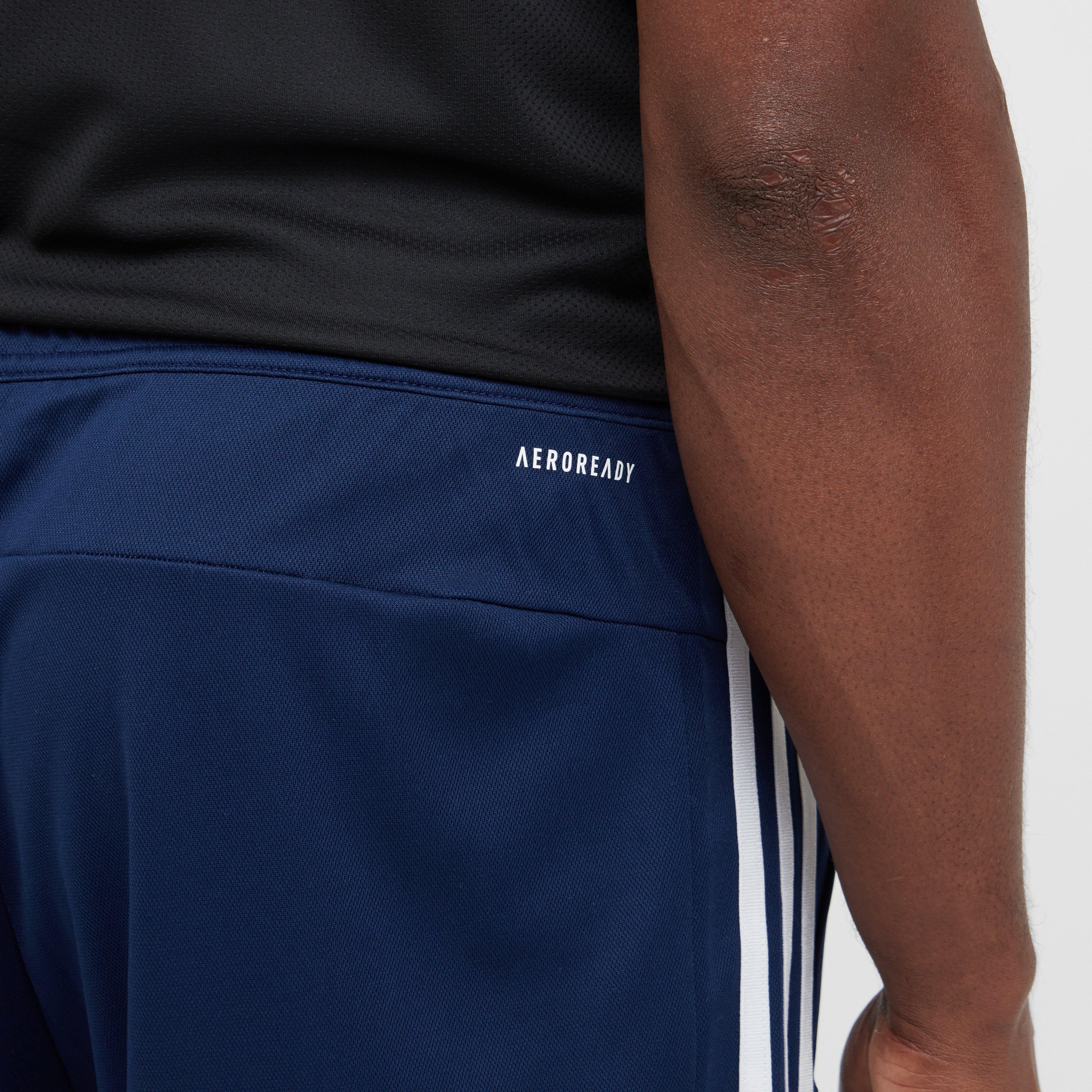 Three Stripe Shorts