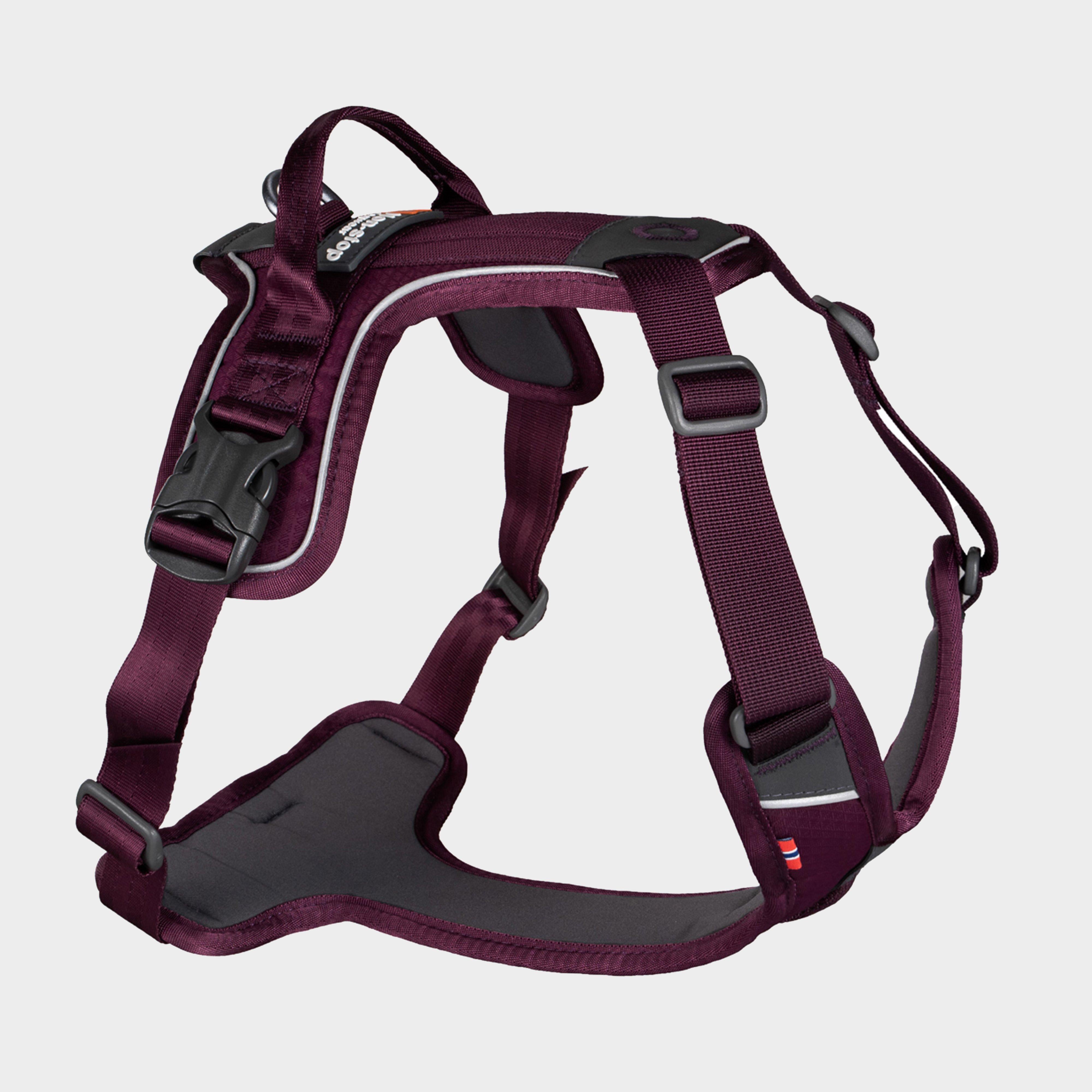 Ramble Harness