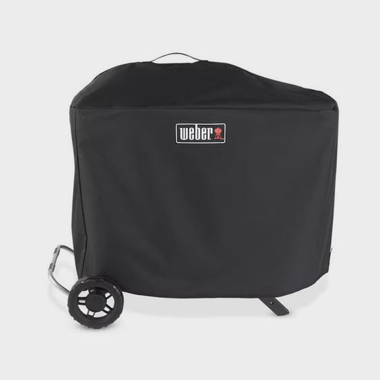 Traveler Gas Barbecue
