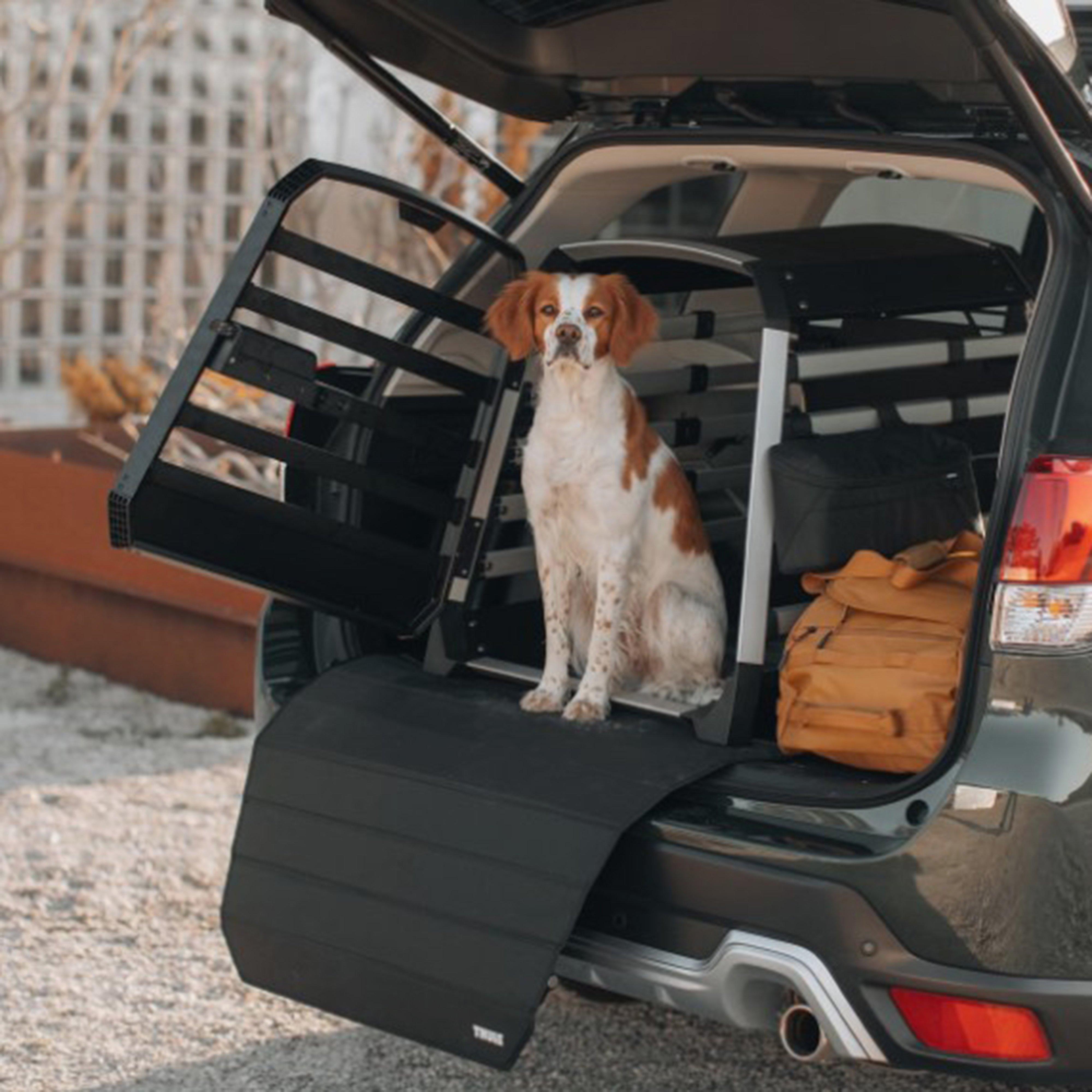 Allax Large Compact Dog Crate