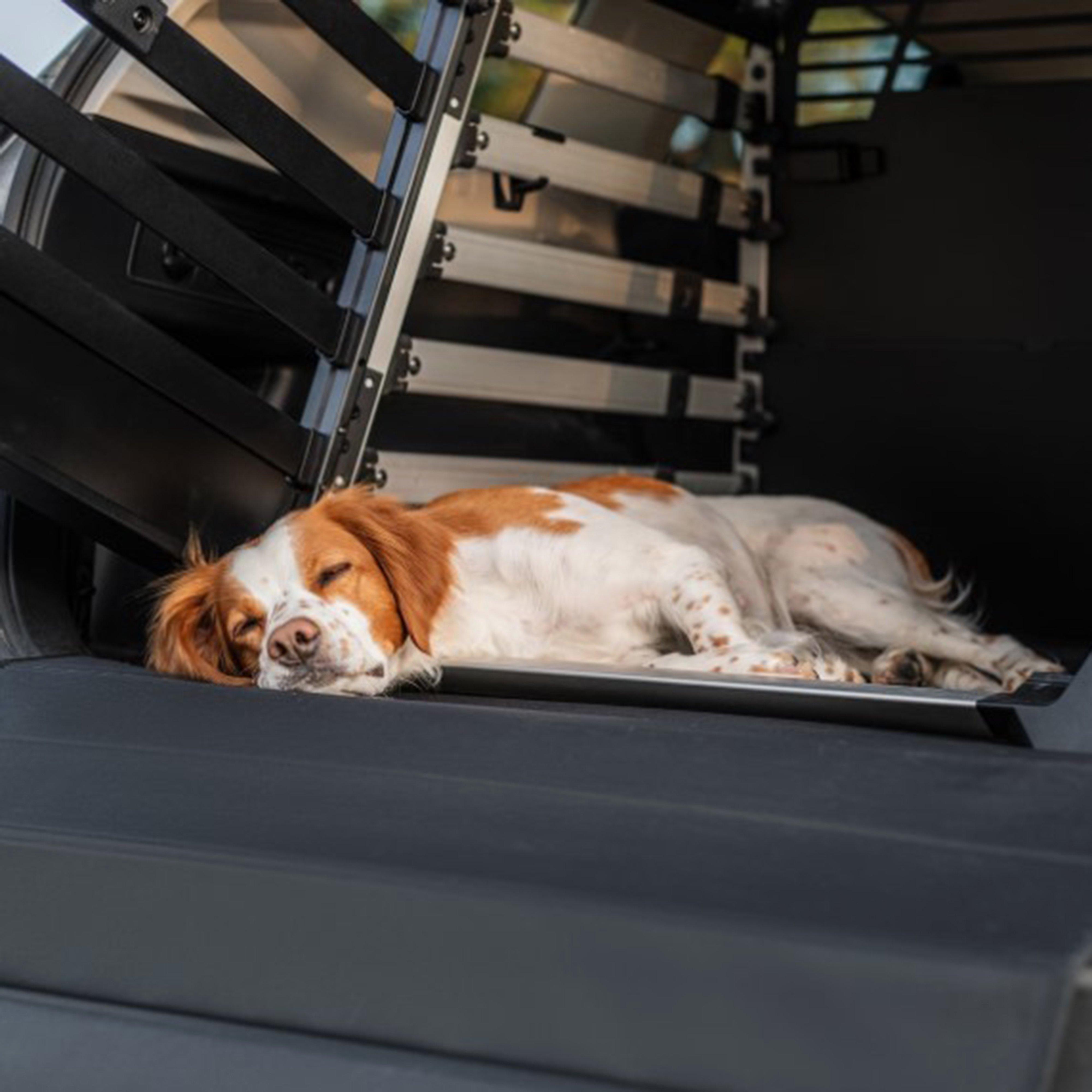 Dog Crate Mat Wide