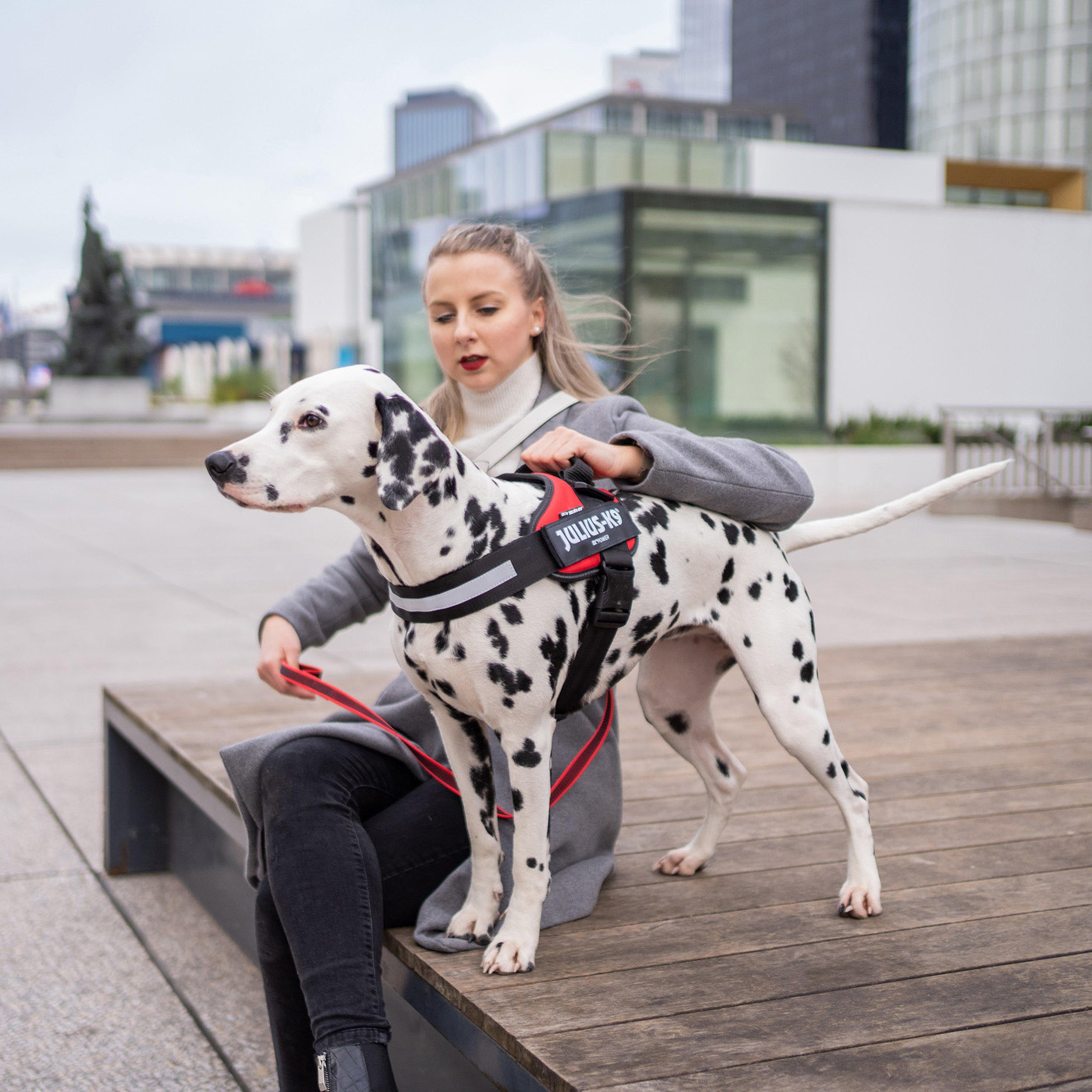 Original K9 Powerharness Size 1