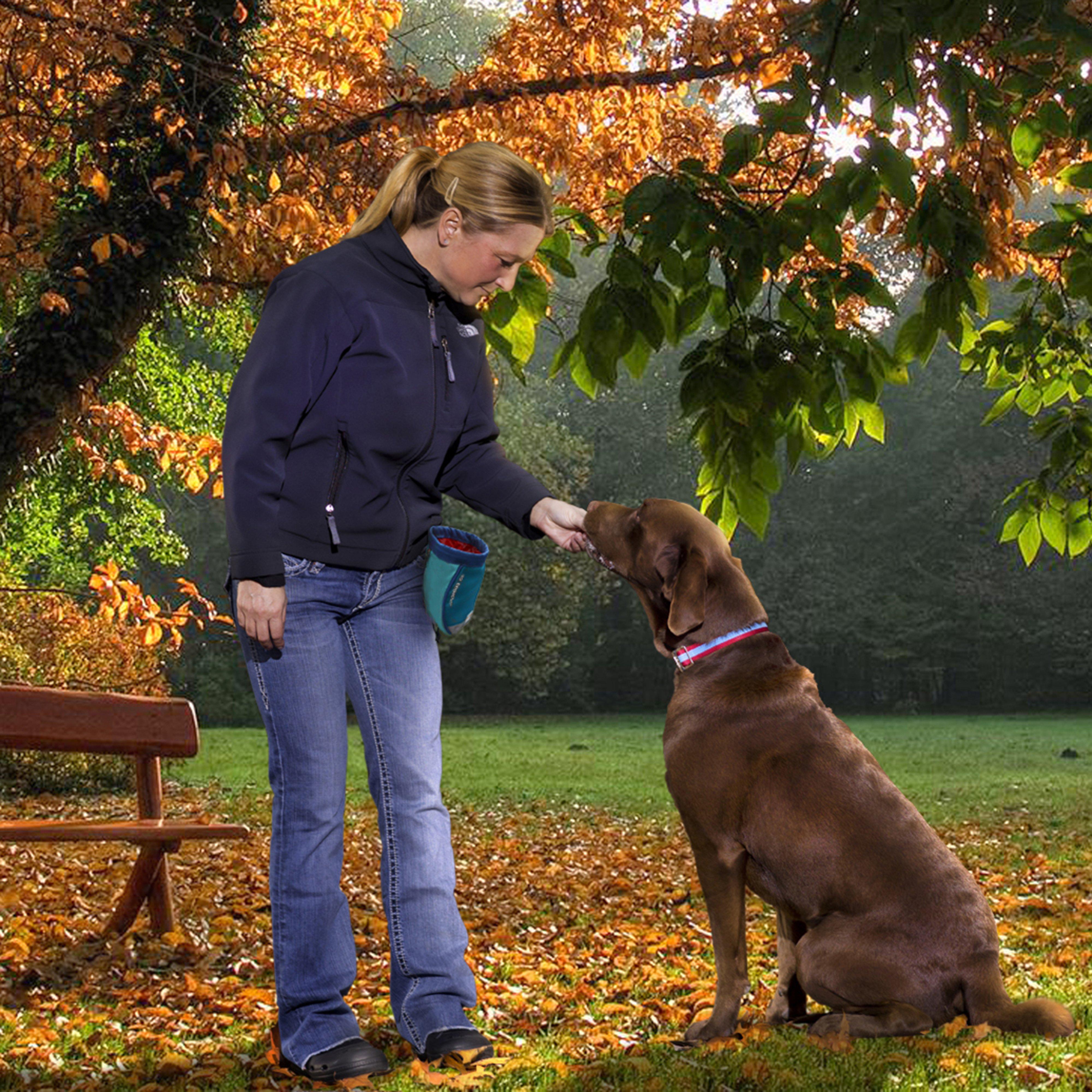 Go Stuff It Dog Treat Bag