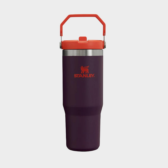 IceFlow™ Flip Straw Tumbler 0.89L