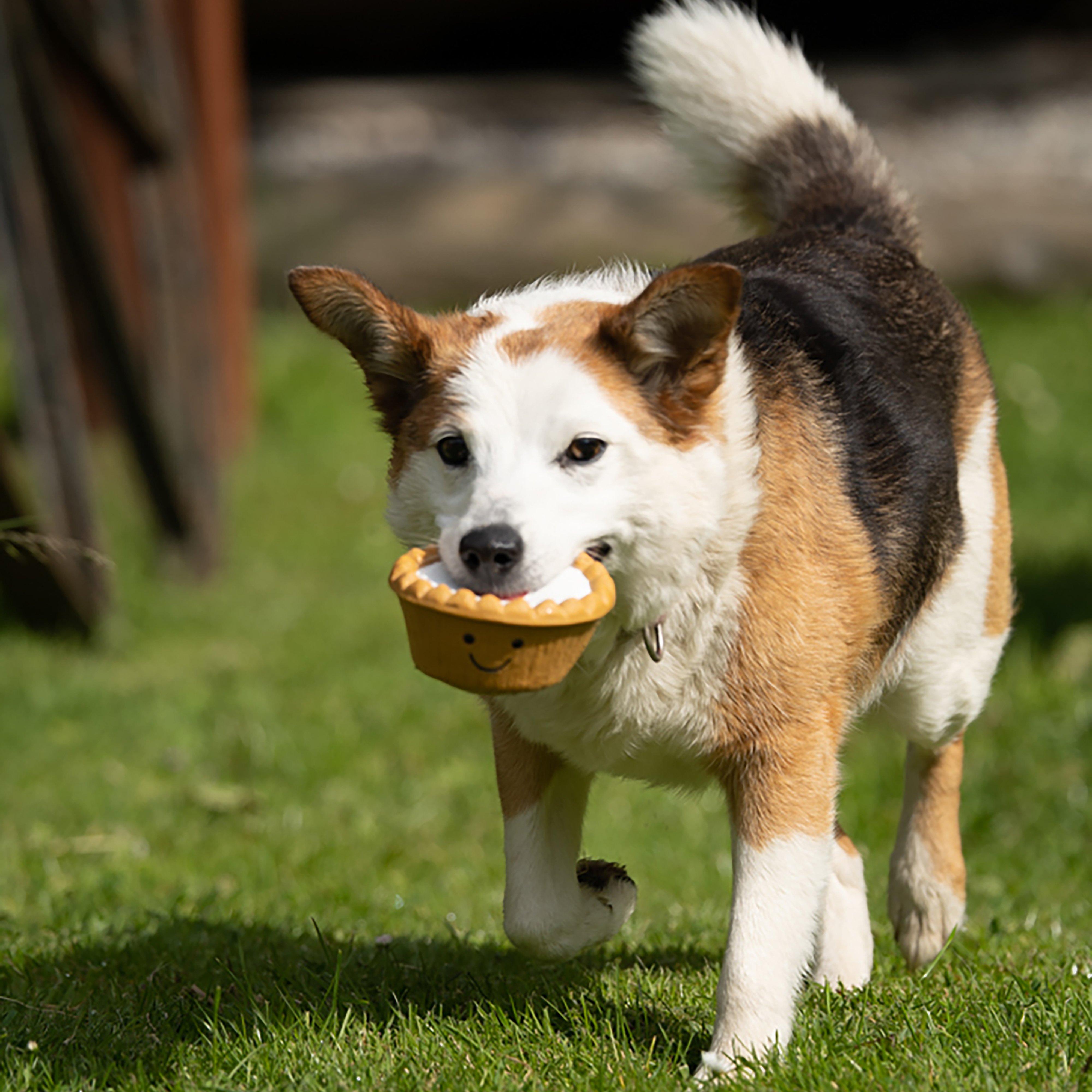 Cherry Bakewell Latex Toy
