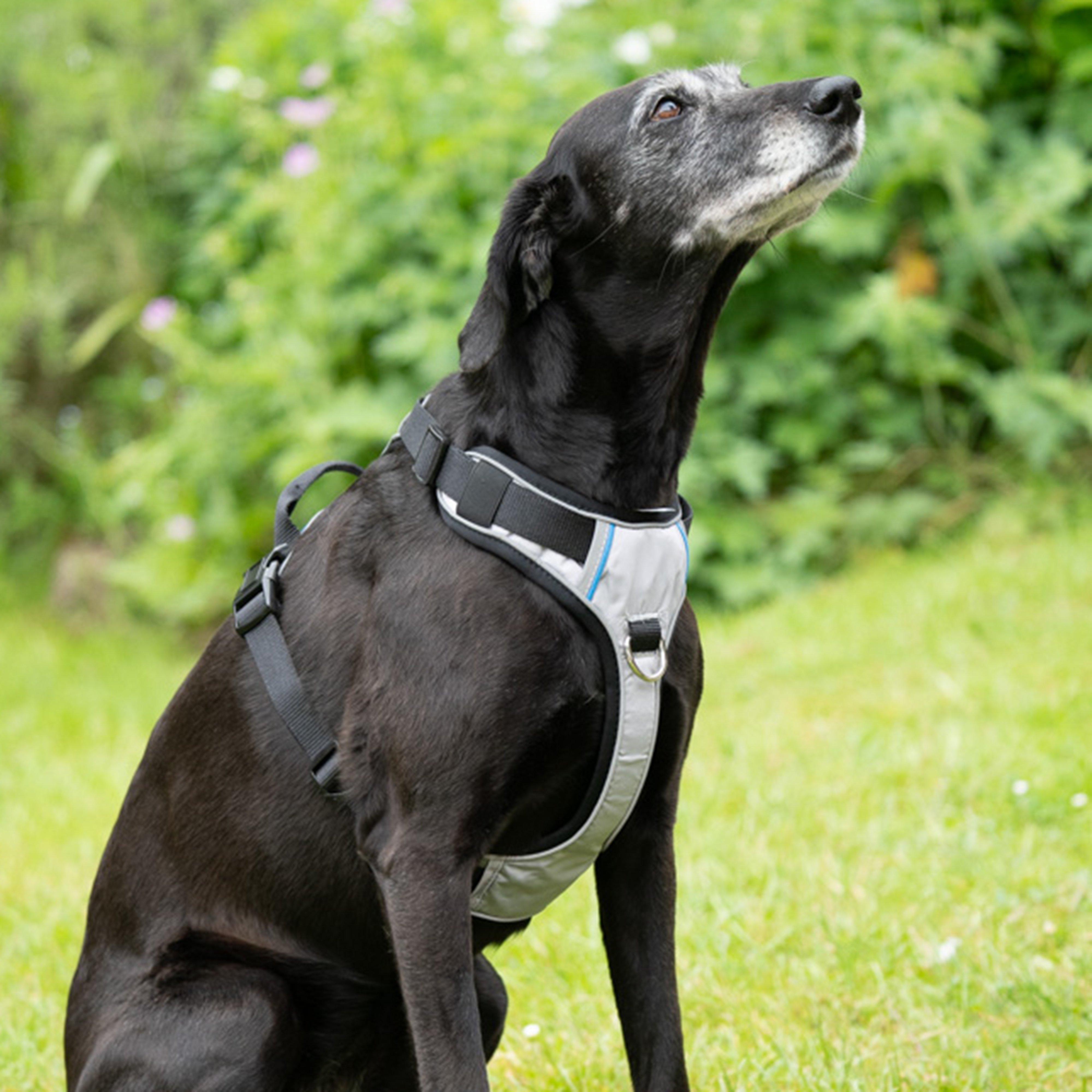 Pet Face Outdoor Paws Adventure Harness Sling Large