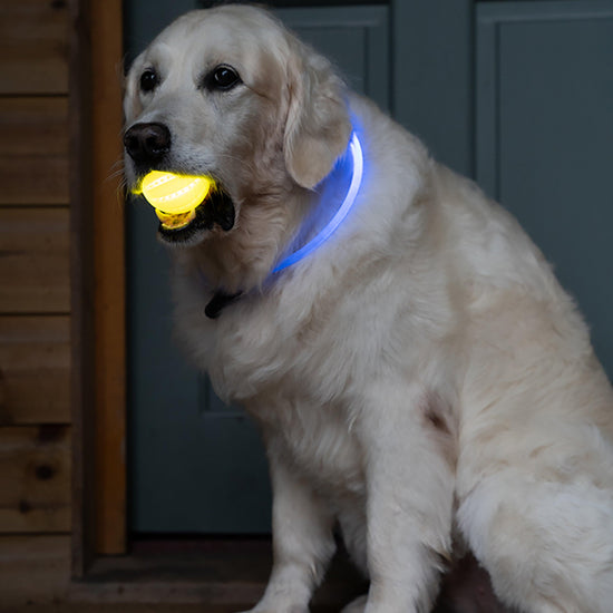 Outdoor Paws USB Rechargeable Glow In The Dark Ball Dog Toy