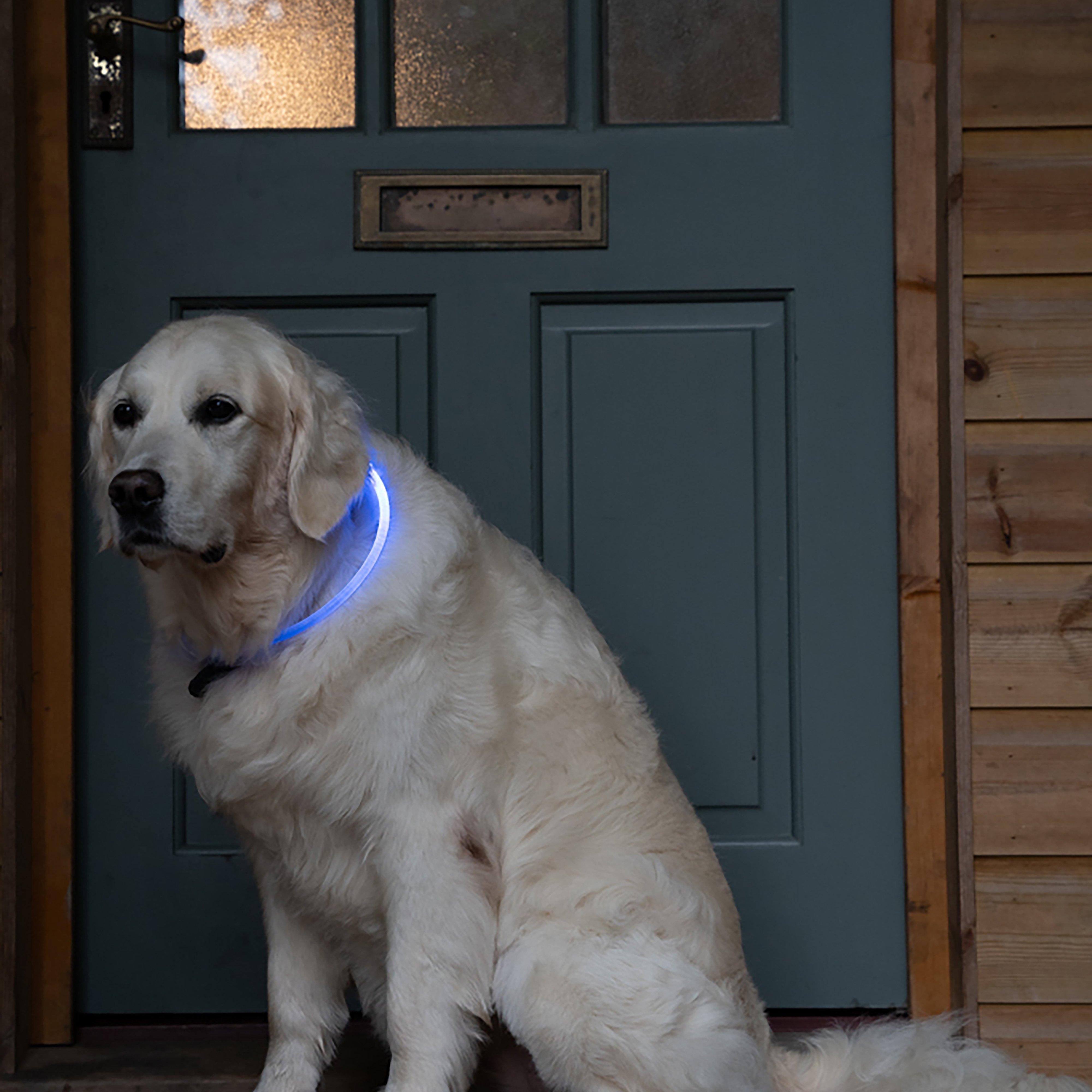 Outdoor Paws USB Rechargeable LED Ring Dog Collar