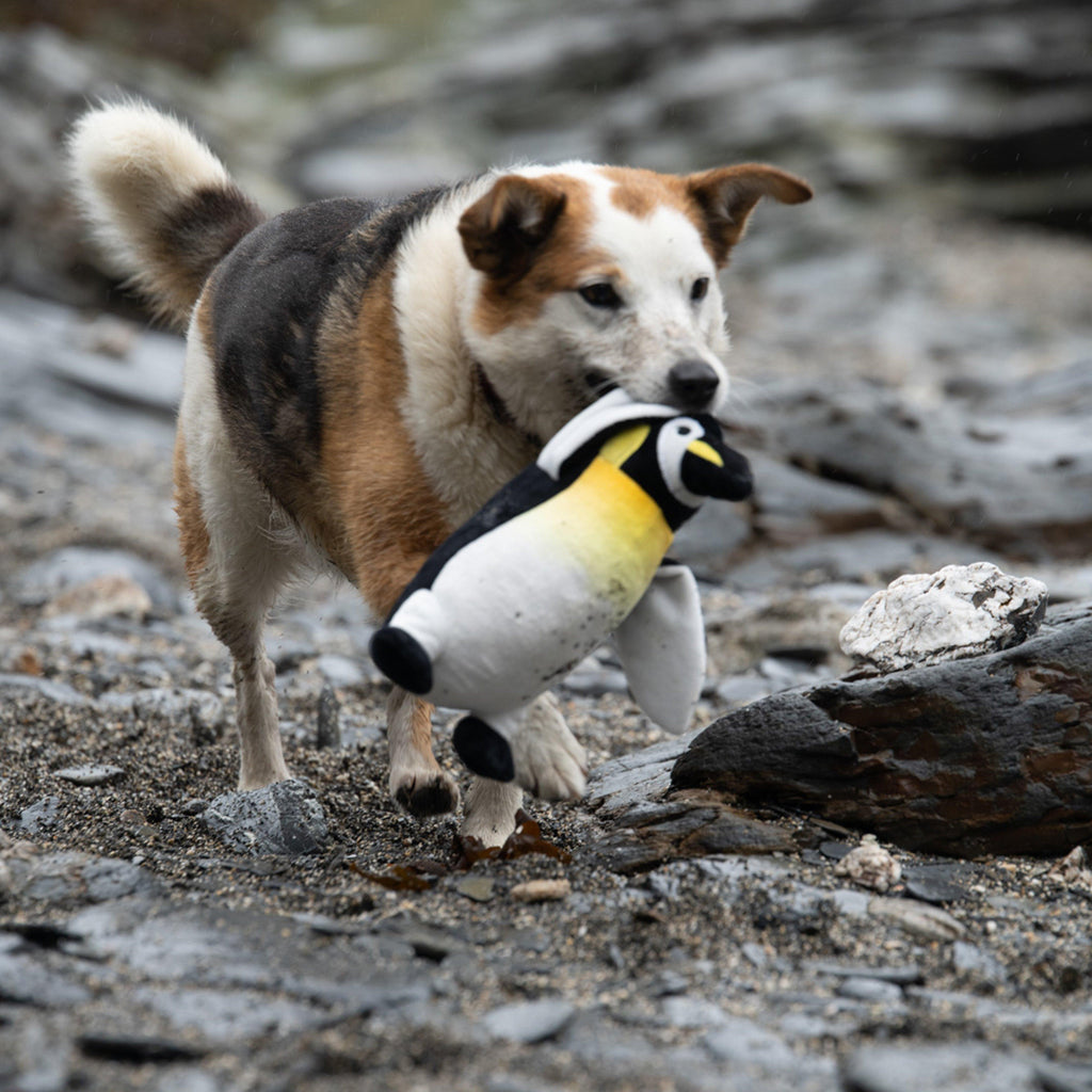 Planet Panuk Penguin Plush Dog Toy