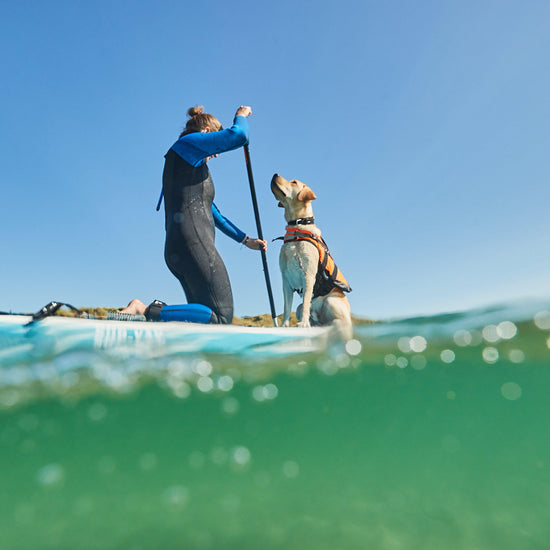Safe Life Jacket 2.0
