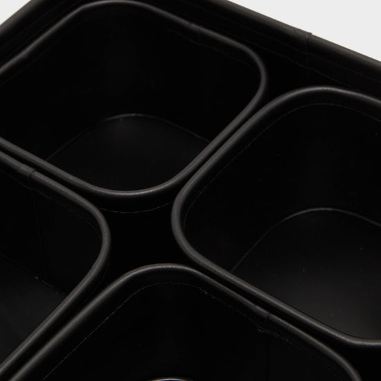 Clear Lid 5pc Bait Case Set