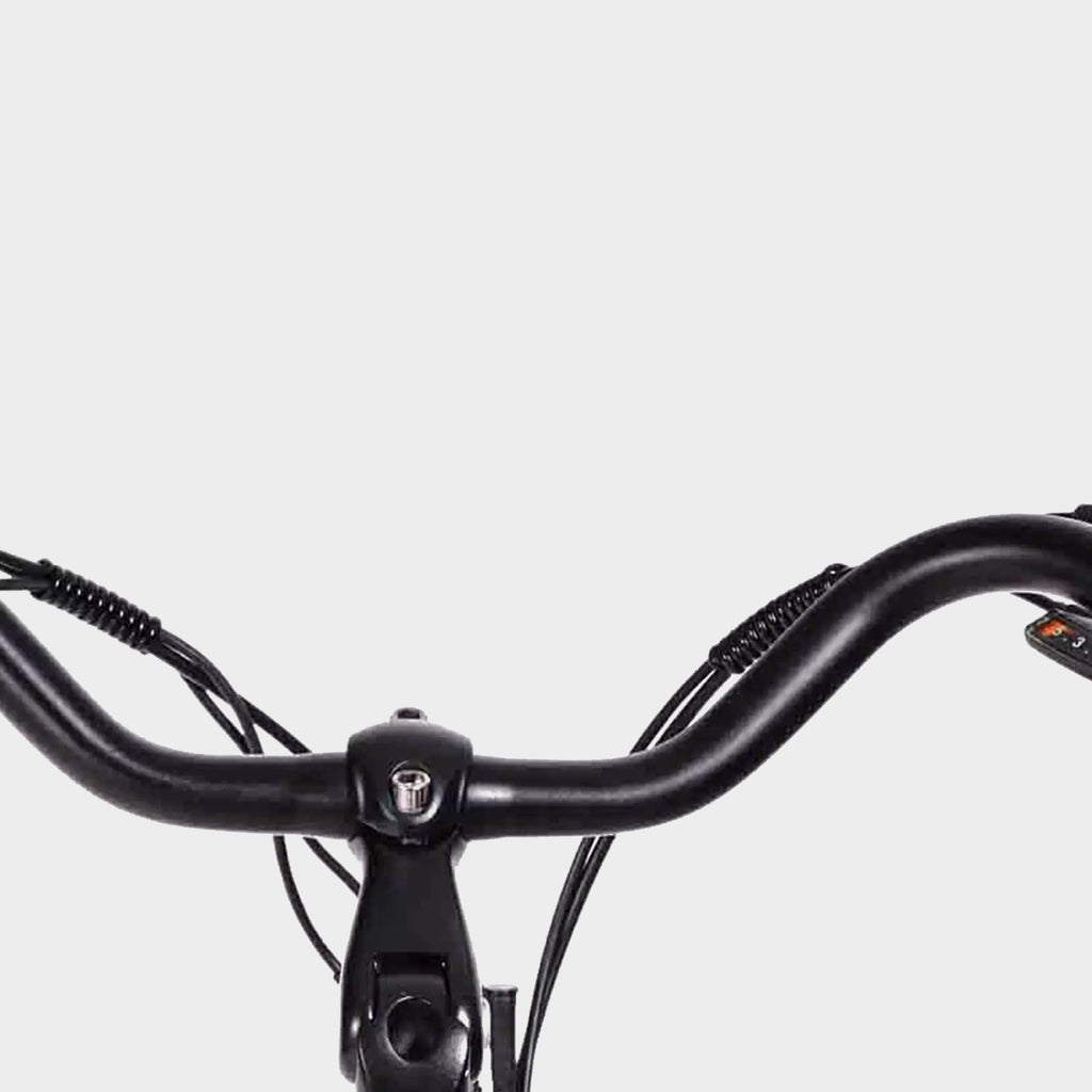 Aarhus Low Step Electric Bike