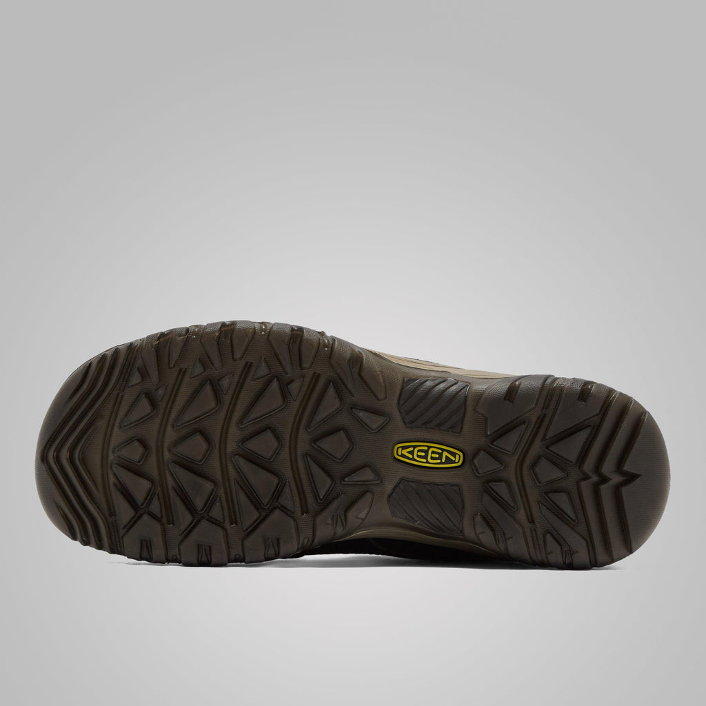 Men's Targhee IV Waterproof Shoe