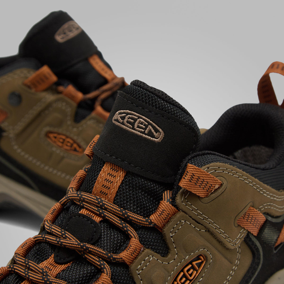 Men's Targhee IV Waterproof Shoe