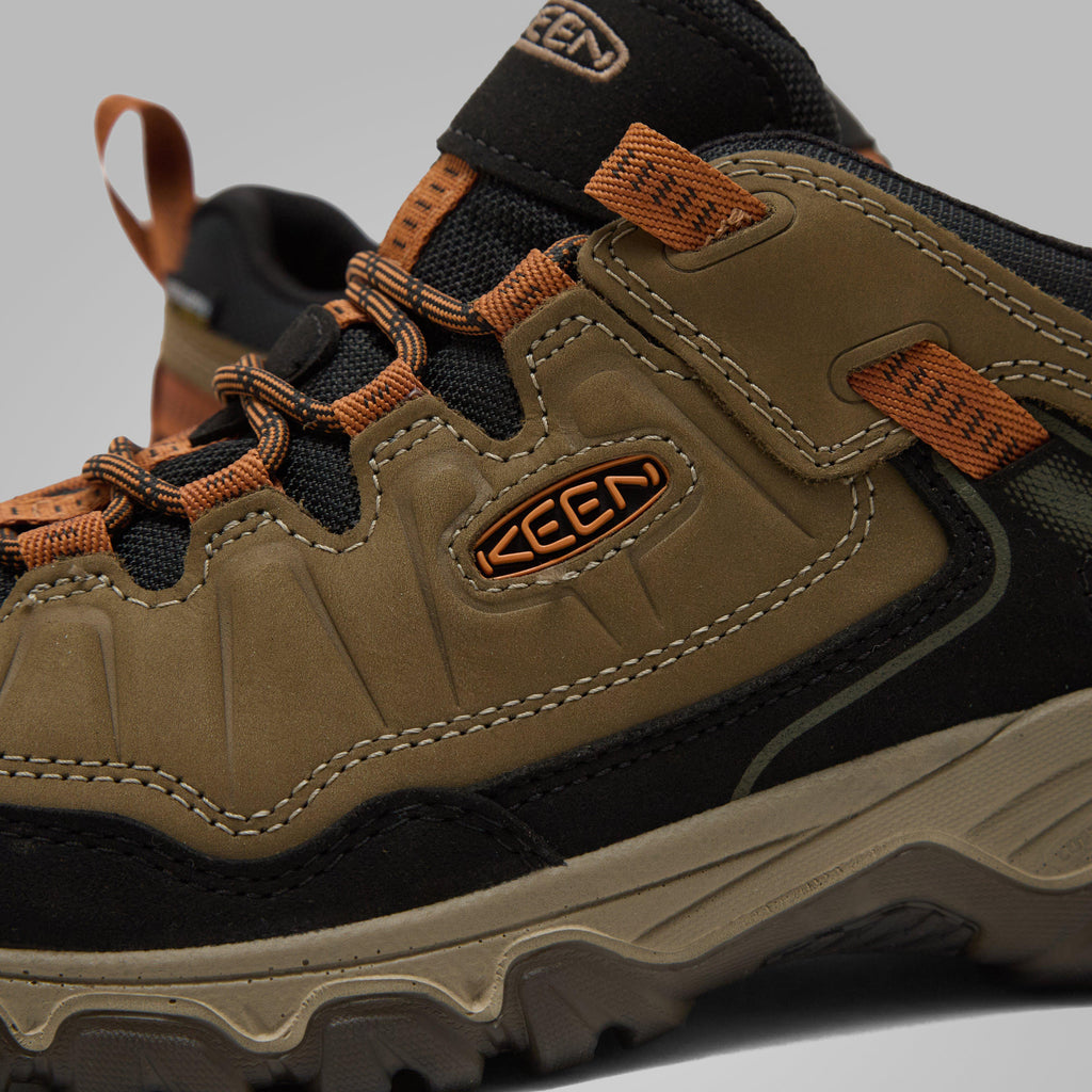 Men's Targhee IV Waterproof Shoe