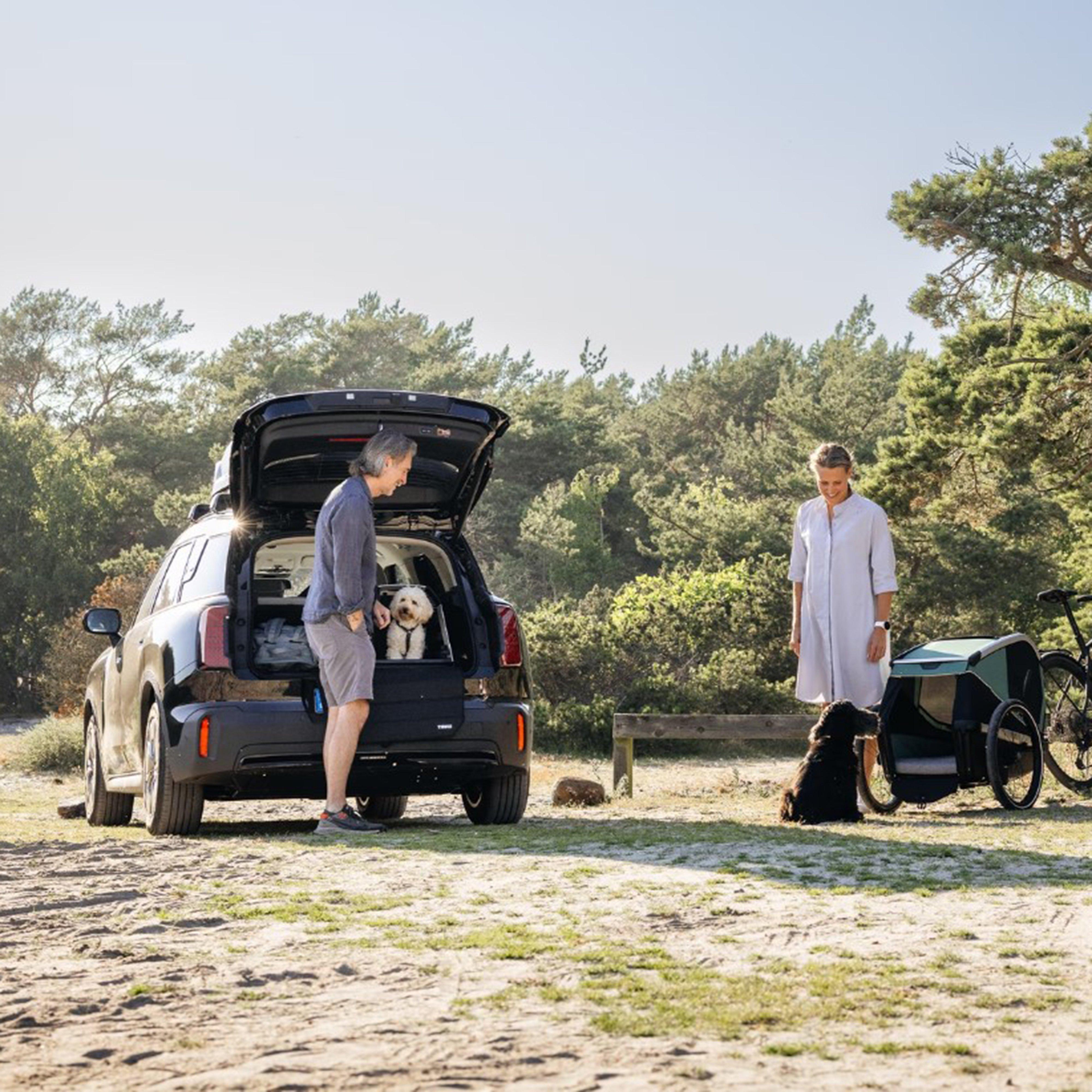 Allax Threshold Compatible Dog Car Crate M