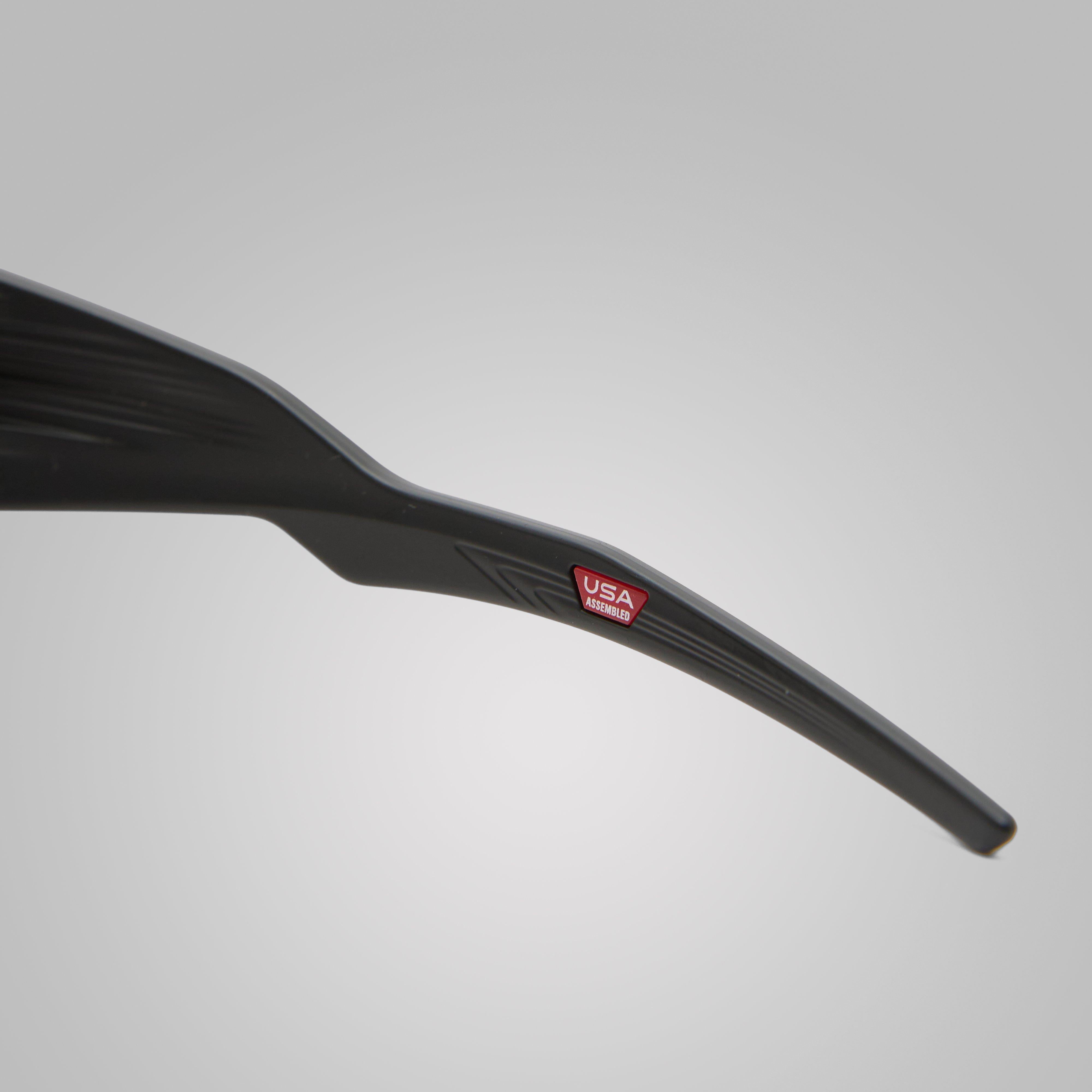 Masseter Sunglasses