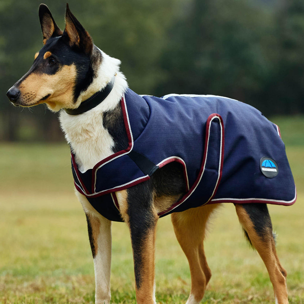 ComFiTec Premier Deluxe Waterproof Dog Coat