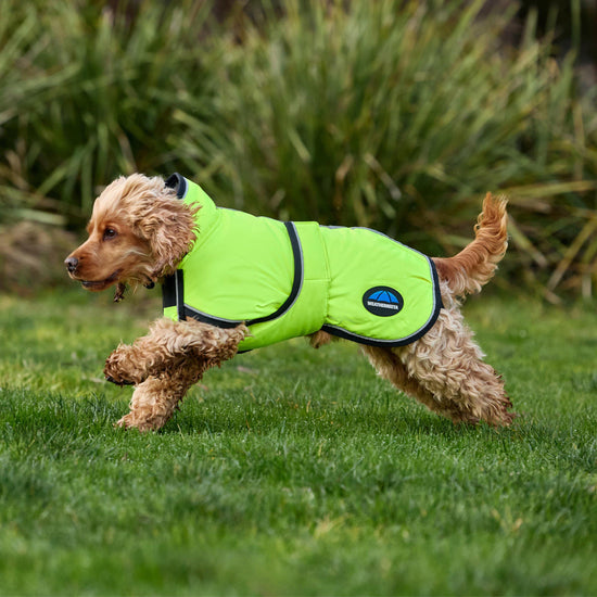 ComFiTec Classic Waterproof Dog Coat
