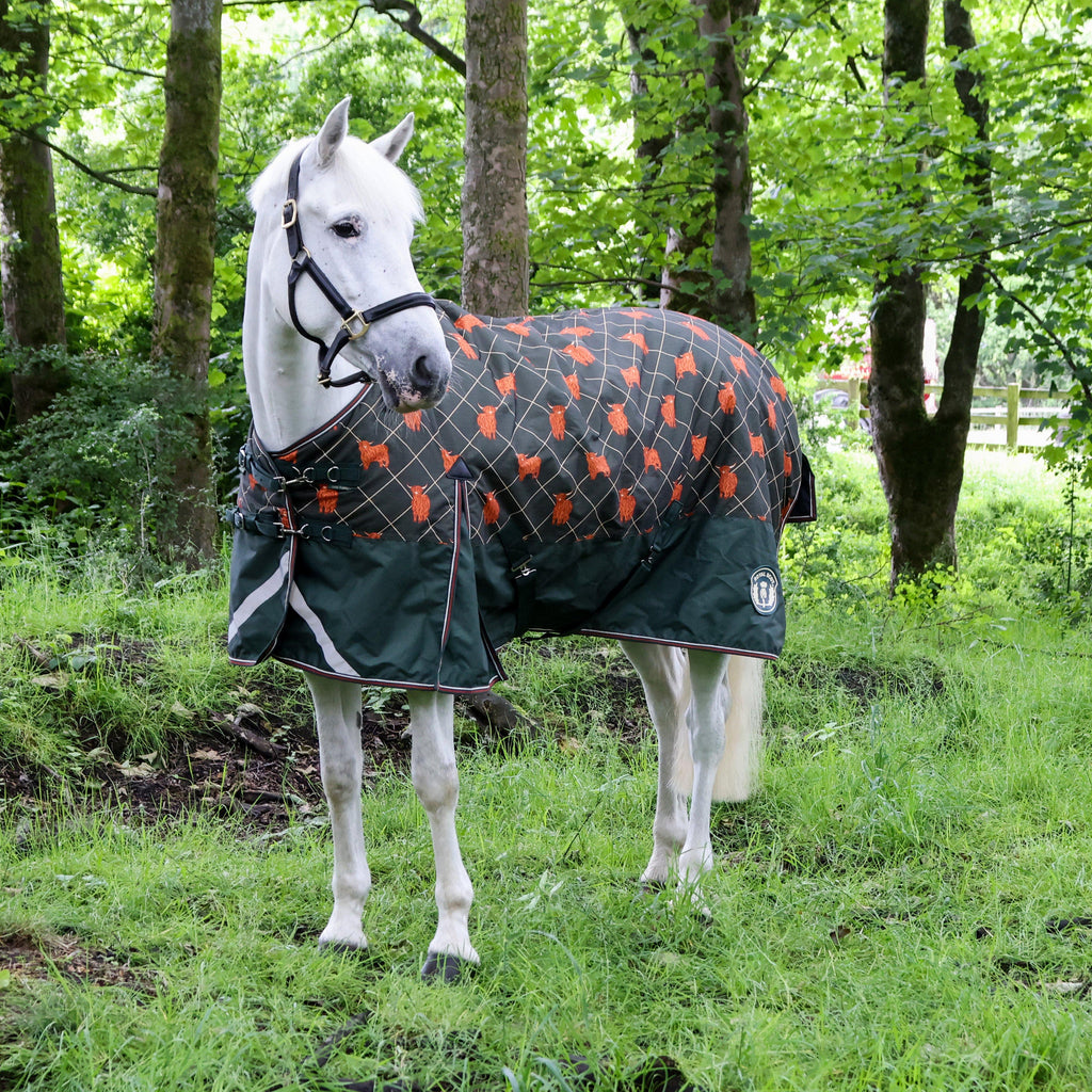 Original 100g Light-Medium Standard Neck Turnout Rug Olive