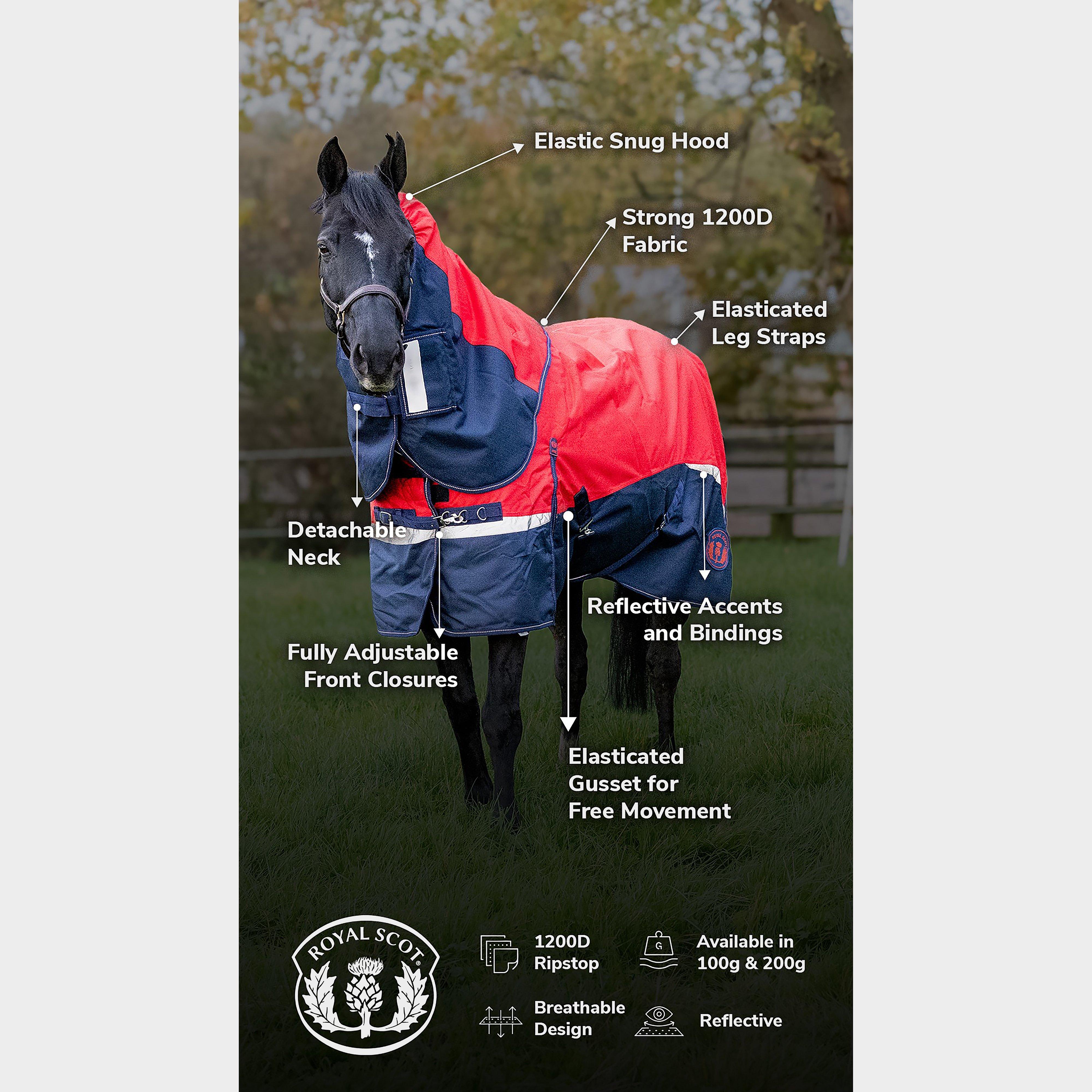 Pro 100g Turnout Rug