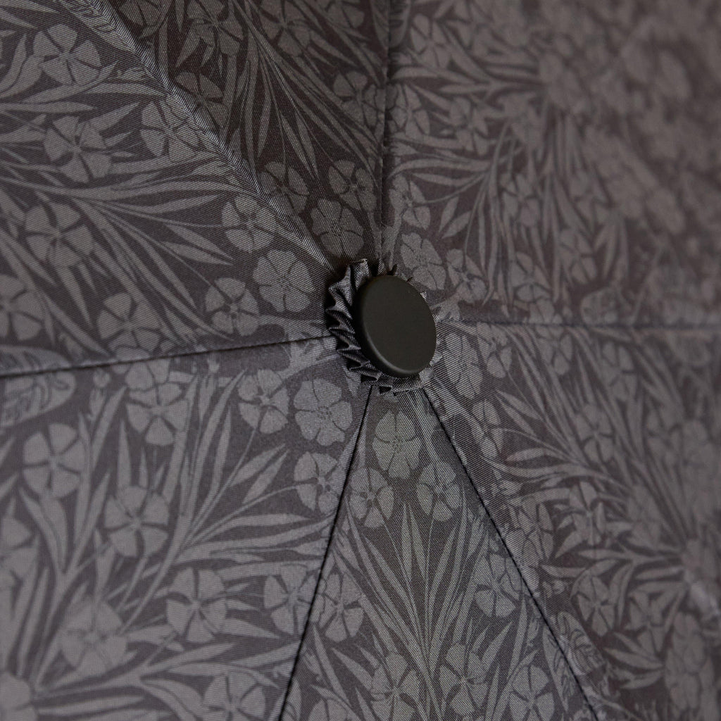 Rayne Umbrella