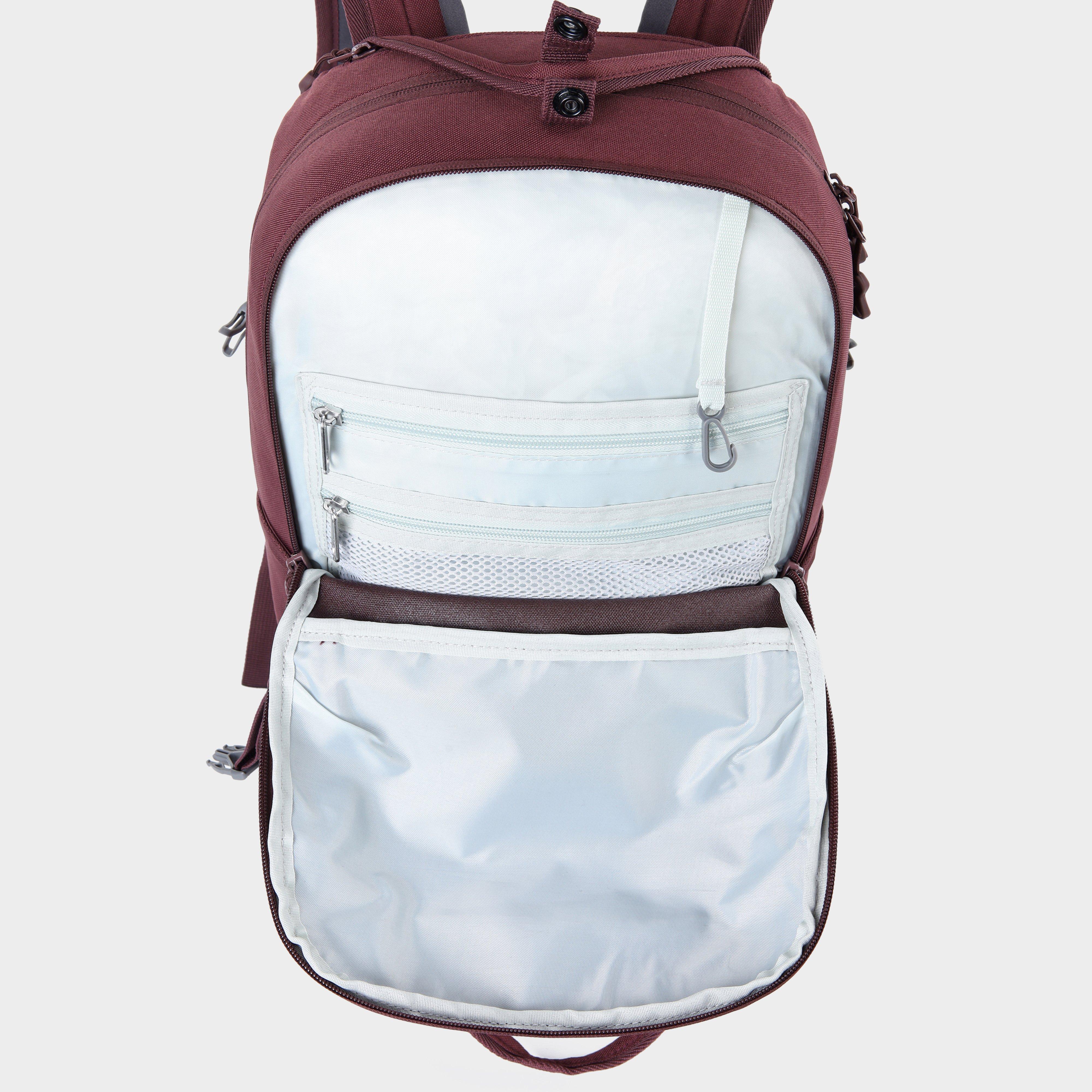 React 20 Daypack