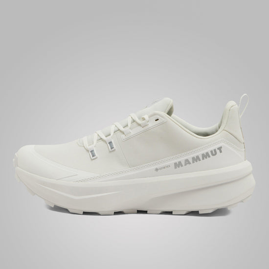 Men's Aernergy Mountain GTX Shoes