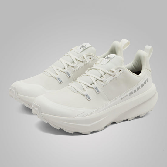 Men's Aernergy Mountain GTX Shoes