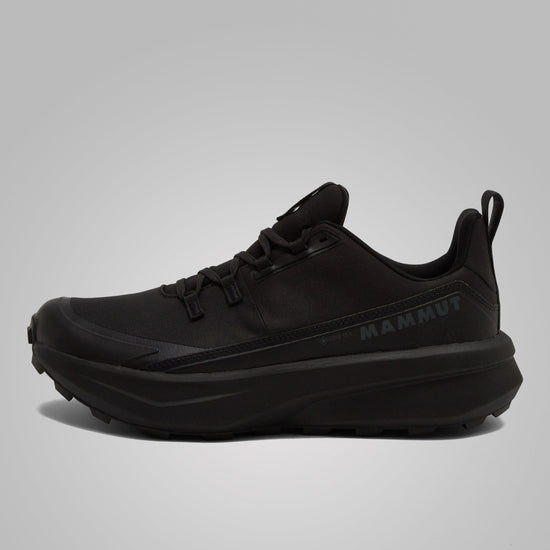 Men's Aernergy Mountain GTX Shoes