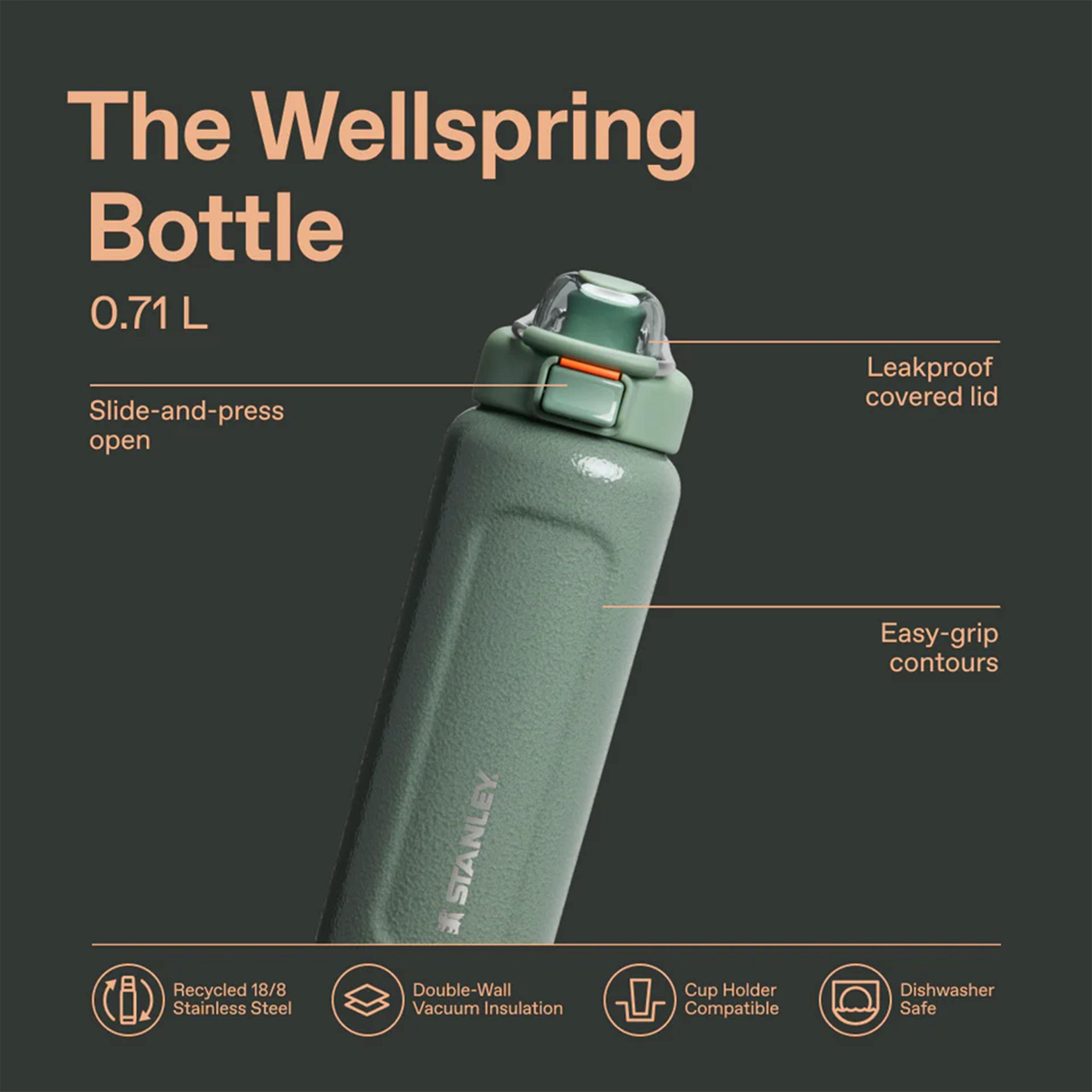 Classic Wellspring Bottle 24oz