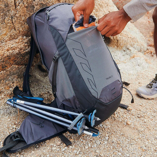 Talon 22L Daypack