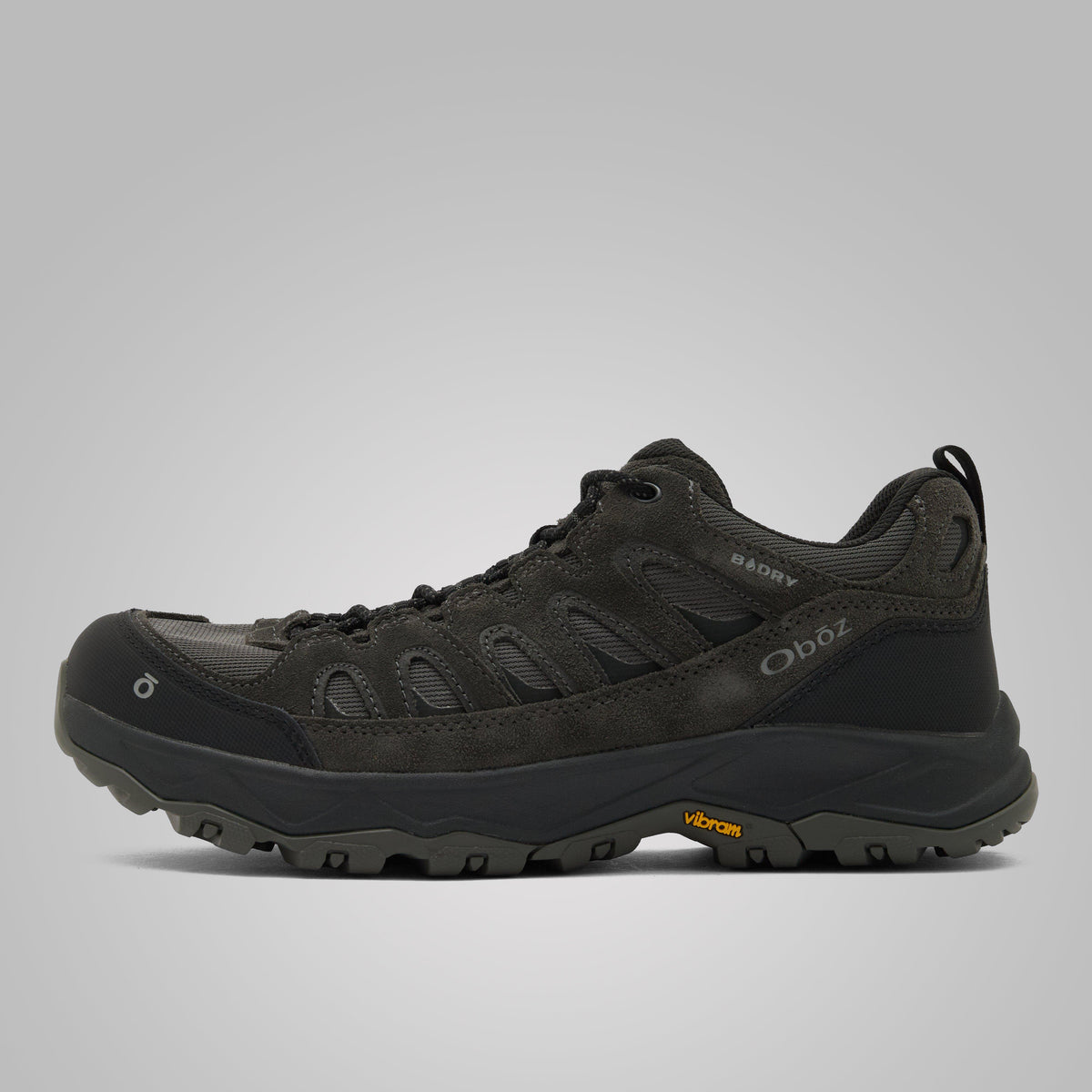Men’s Sawtooth Ascent Low Waterproof Shoes