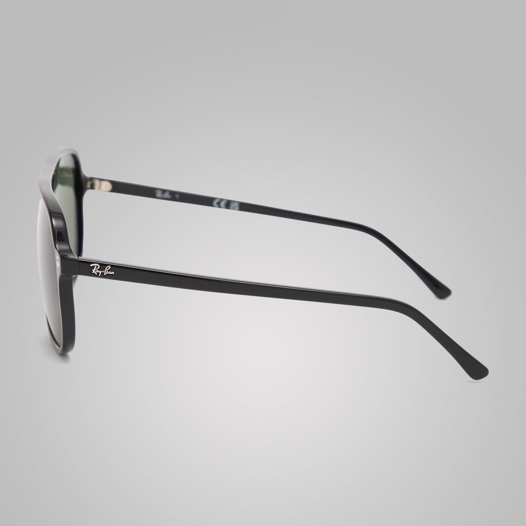 Bill Sunglasses