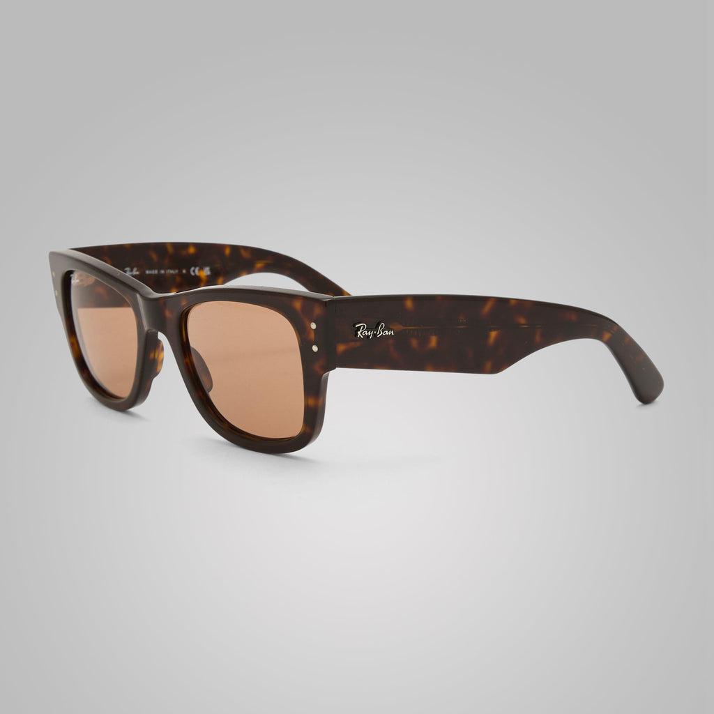 Mega Wayfarer Sunglasses