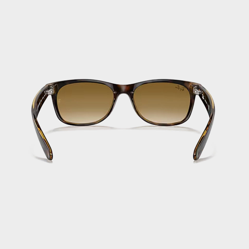 New Wayfarer Gradient Sunglasses