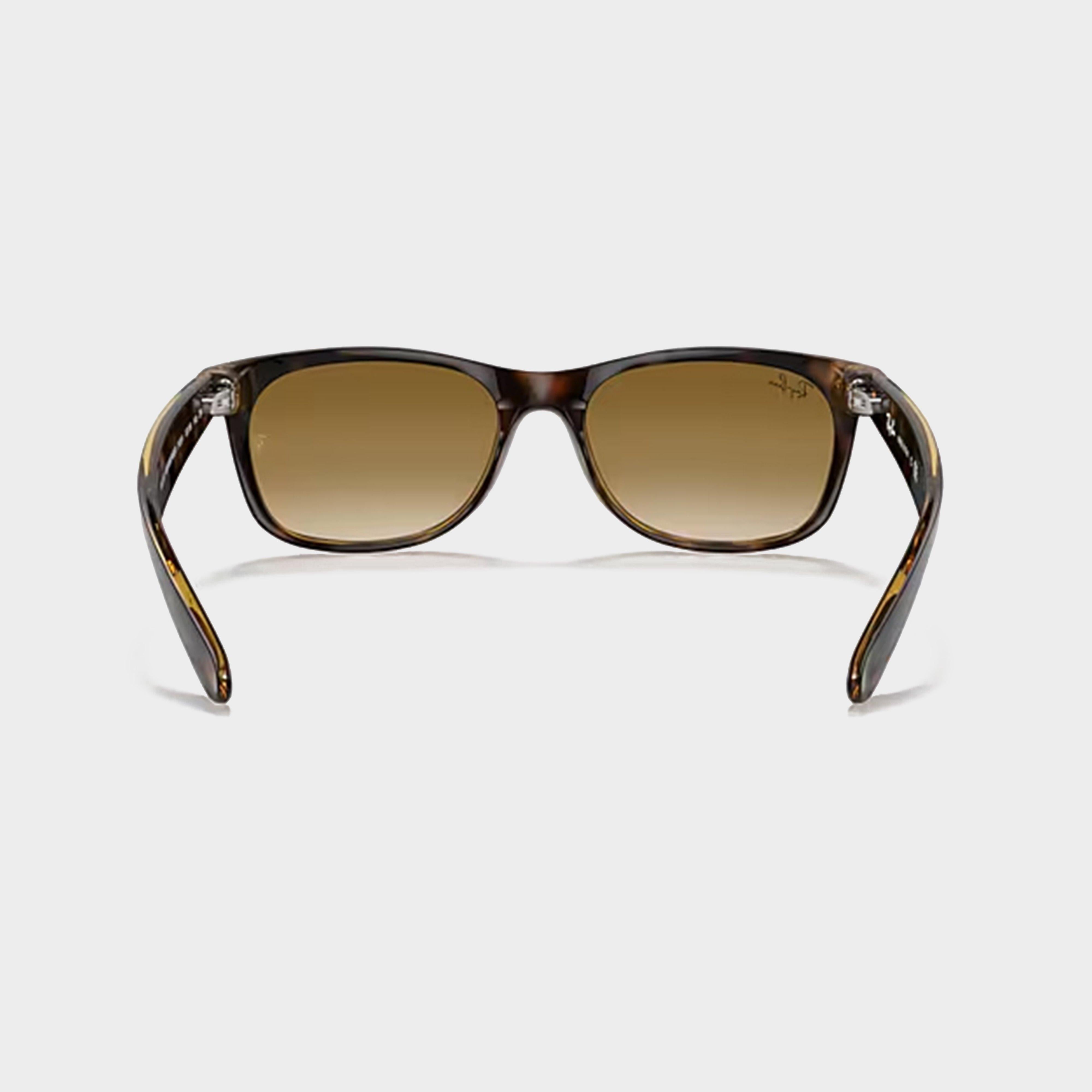 New Wayfarer Gradient Sunglasses