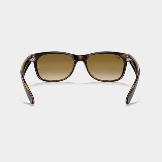 New Wayfarer Gradient Sunglasses
