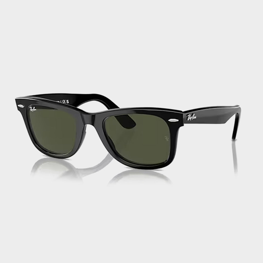 Original Wayfarer Sunglasses