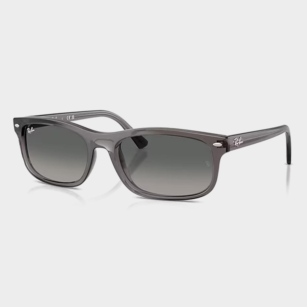 RB2224 Gradient Sunglasses