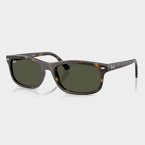 RB2224 Sunglasses