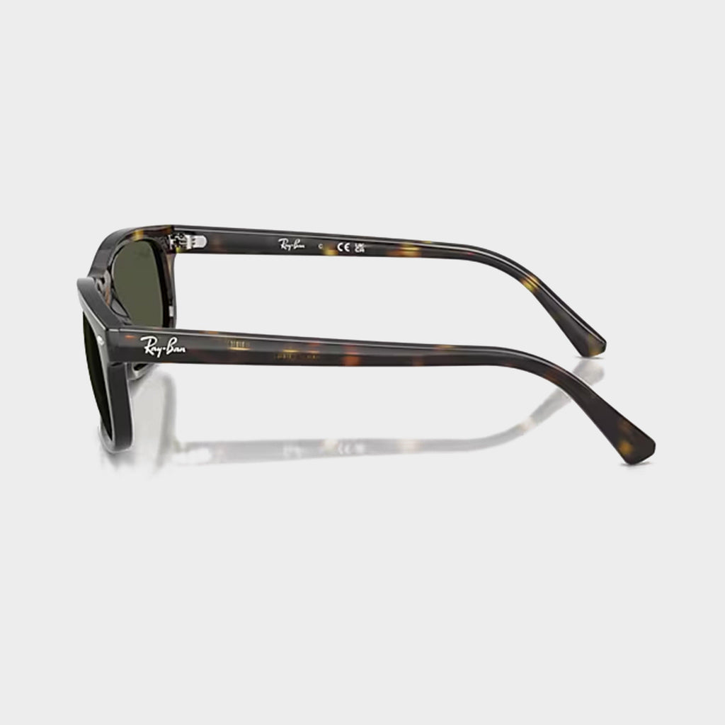 RB2224 Sunglasses