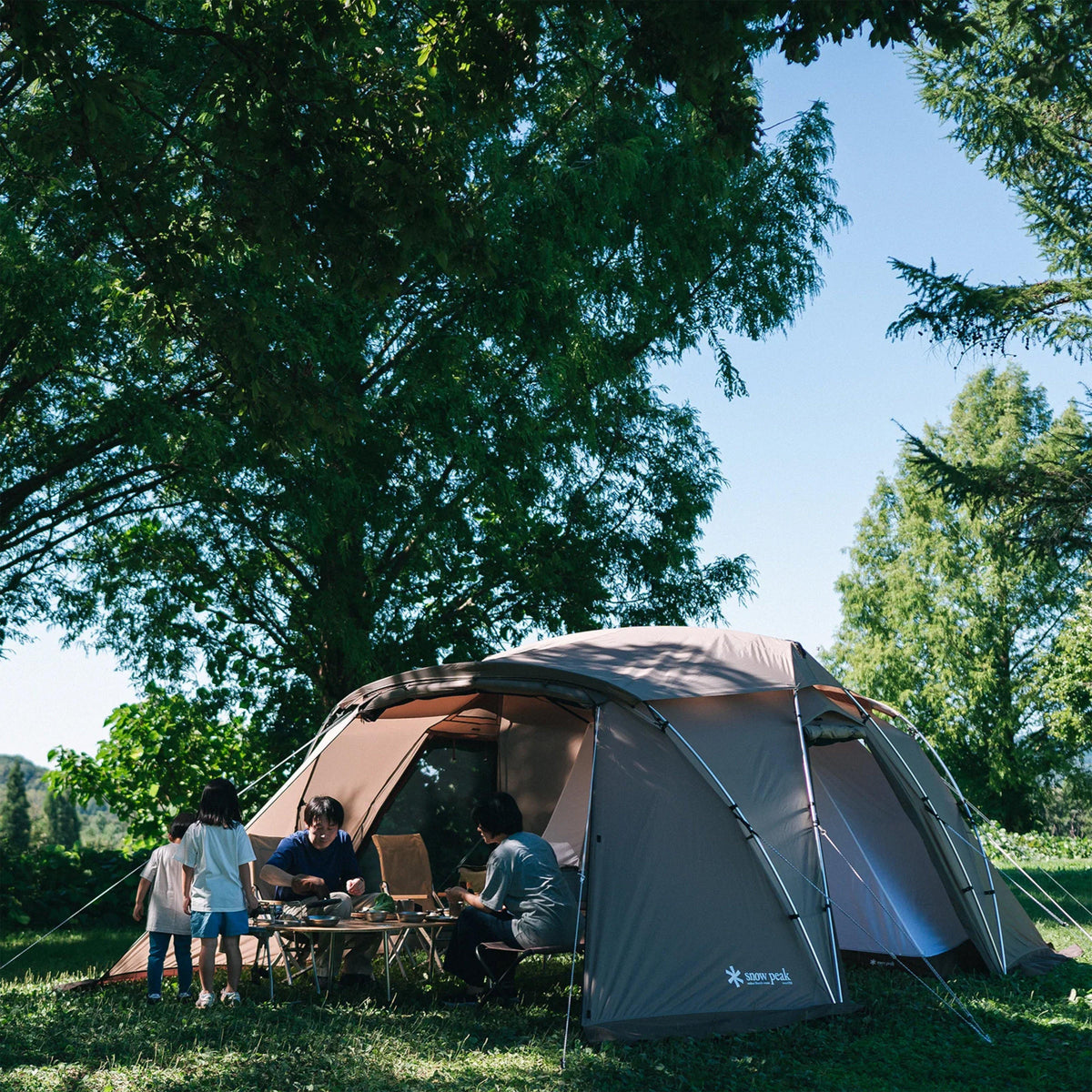 Land Nest Shelter